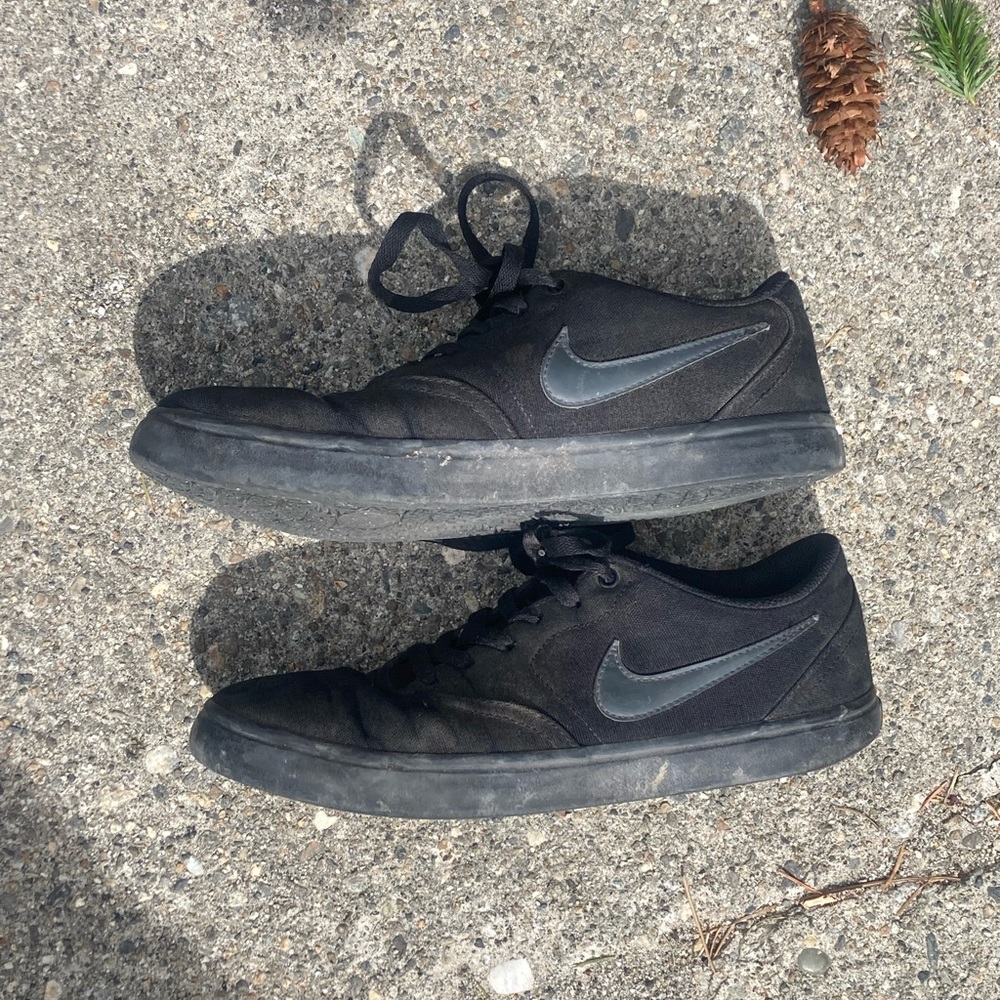 Nike SB skate shoes